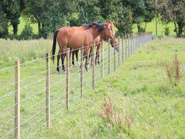 Power_Fencing_Systems_image_Systems_image